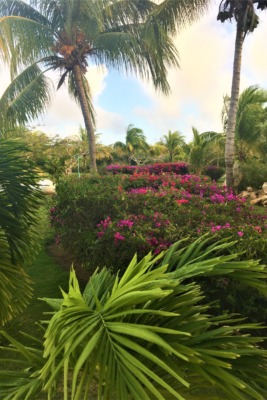 The jungle around the ruins is treacherous. A Corpse for Cozumel, Adie Sturm Mystery